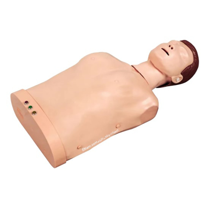 مولاژ احیای قلبی و ریوی CPR با نشانگر